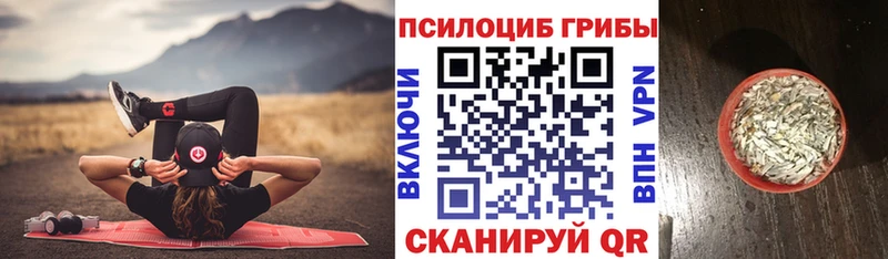 Купить закладки  Старый Оскол  Псилоцибиновые грибы мухоморы 